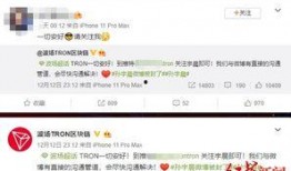 tjtv新闻爆料公众号,最新动态，揭秘背后真相！